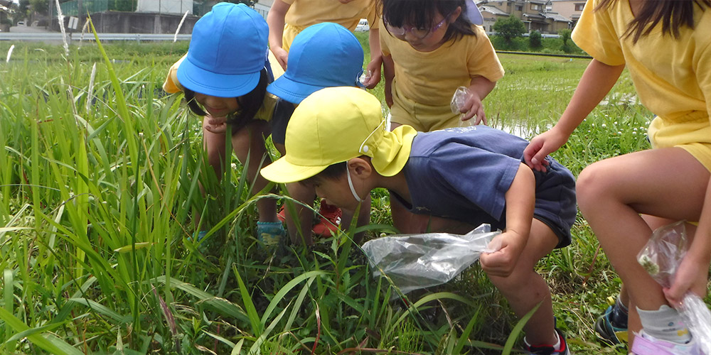 めぐみの園保育園
